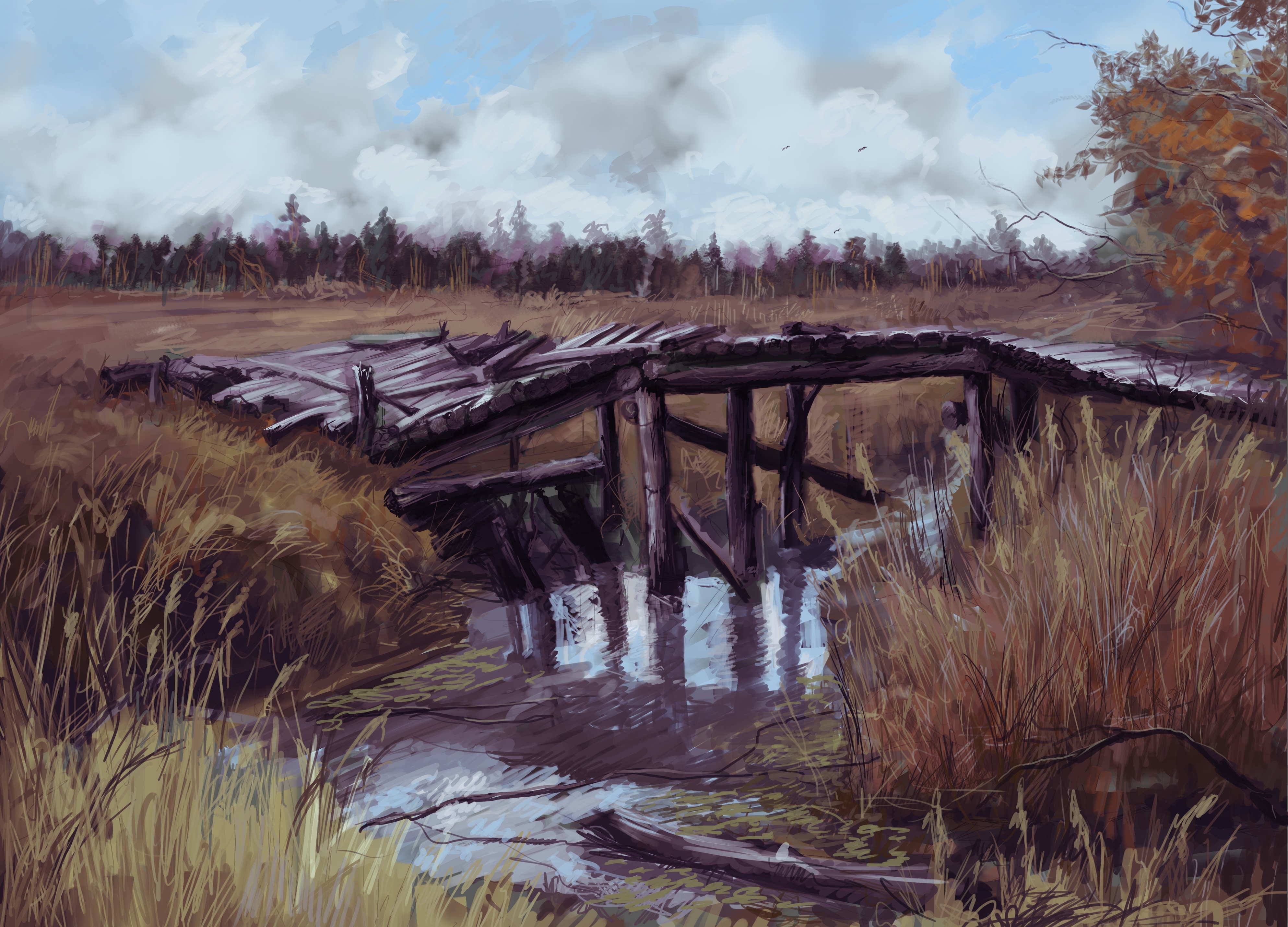 A crumbling wooden bridge over a creek. This must be in the Swamps for sure.