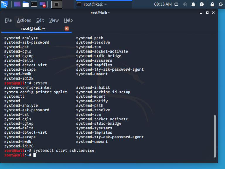 linux start ssh shell
